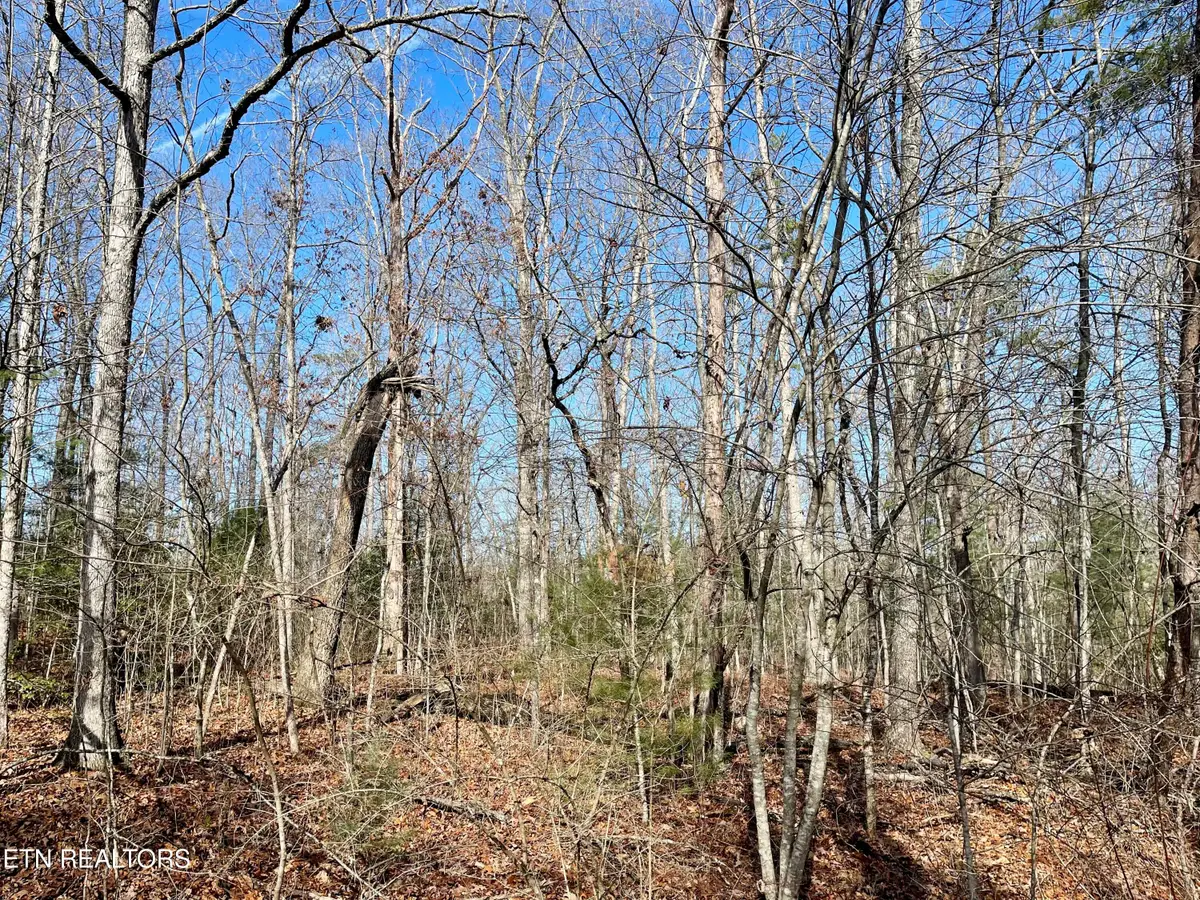 44 Rusham Circle, Crossville, TN 38558 - #1