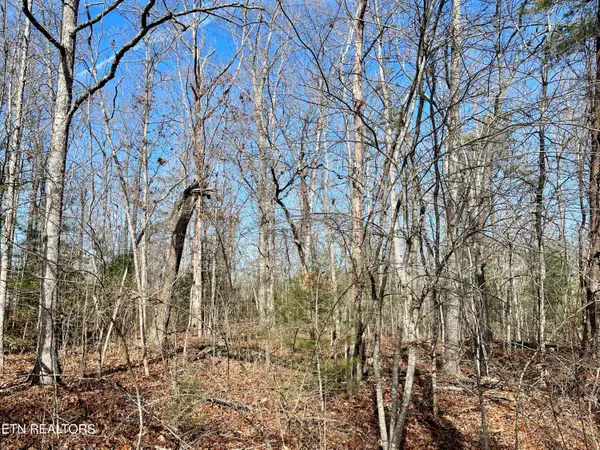 44 Rusham Circle, Crossville, TN 38558