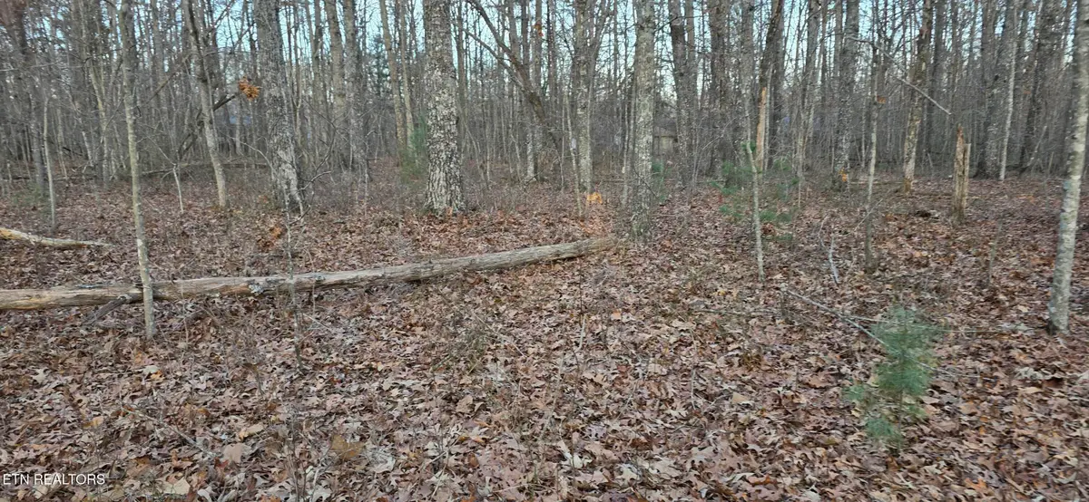 Crestview Loop, Crossville, TN 38571 - #1