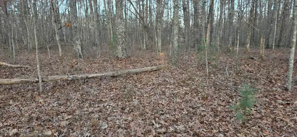 Crestview Loop, Crossville, TN 38571