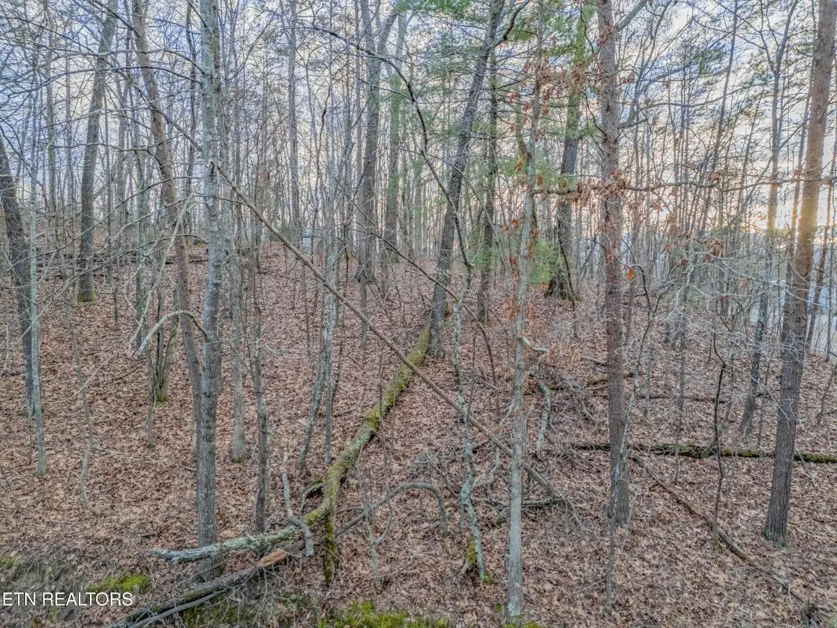 190 Hall St, Rockwood, TN 37854 - #1