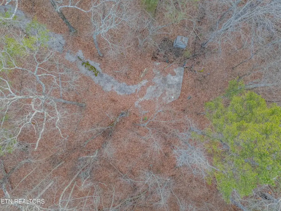 190 Hall St, Rockwood, TN 37854 - #2