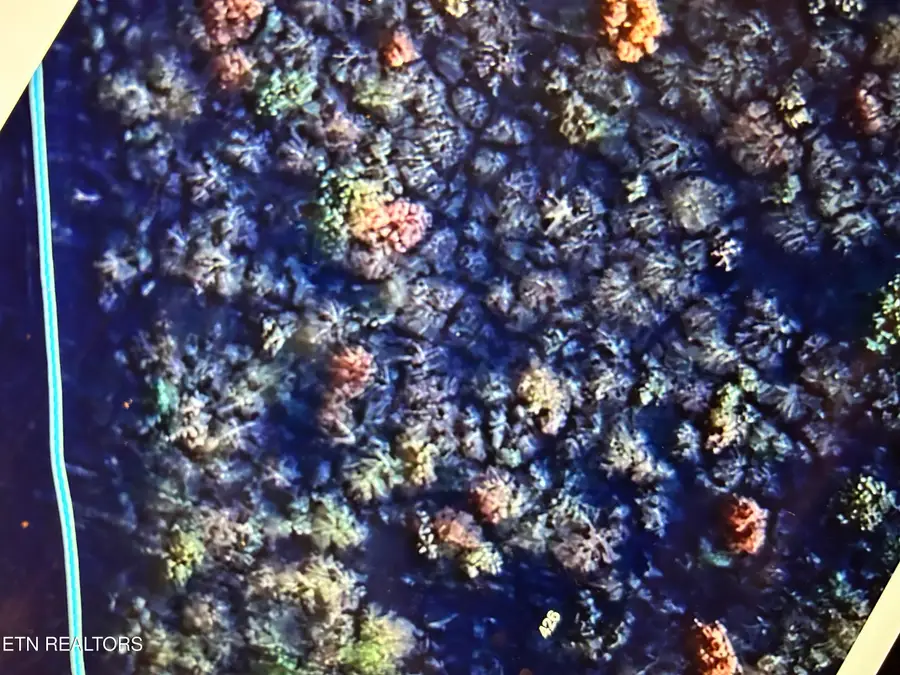 Poplar Creek Rd, Oliver Springs, TN 37840 - #2