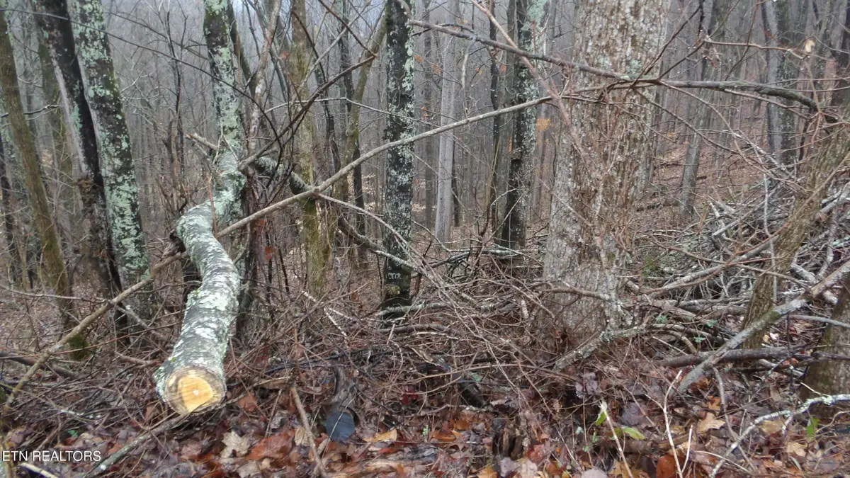 Lots 17&18 Savannah, Smithville, TN 37166 - #1