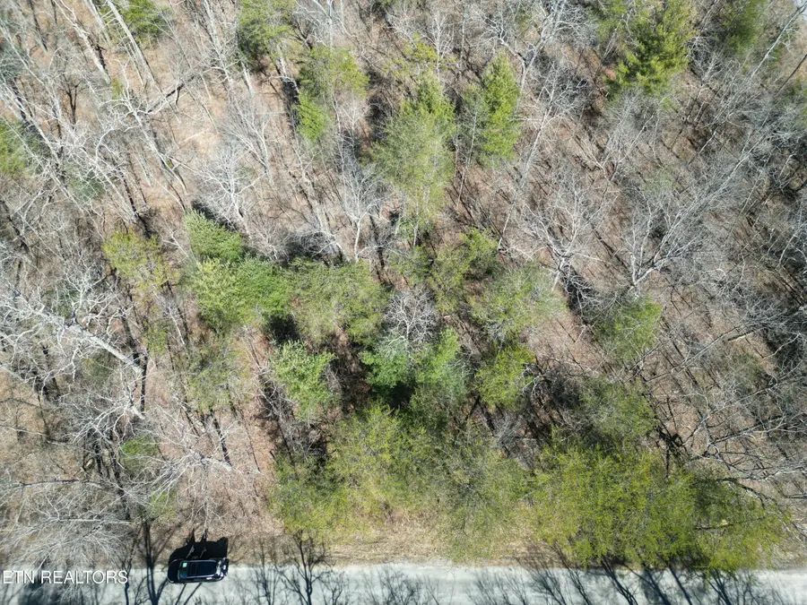 6039 Tomahawk Drive, Crossville, TN 38572 - #3