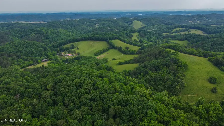 0 Looney Road Rd, Parrottsville, TN 37843 - #2