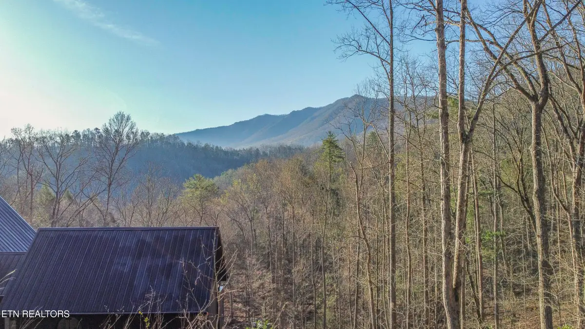 Cooper Hollow Rd, Townsend, TN 37882 - #1