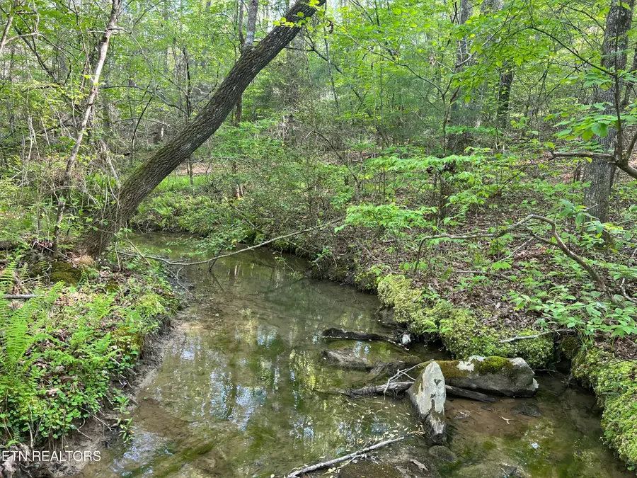 658ac Peavine Firetower Rd, Crossville, TN 38571 - #3