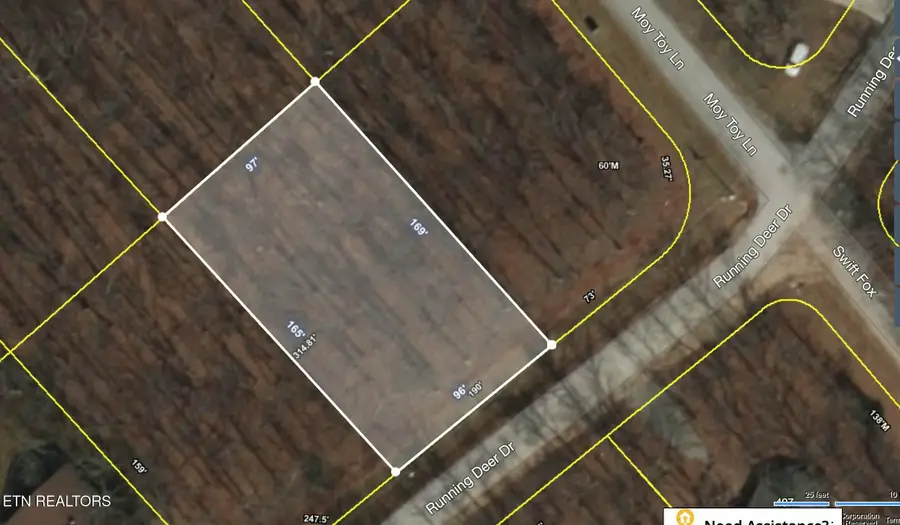 Running Deer, Crab Orchard, TN 37723 - #2