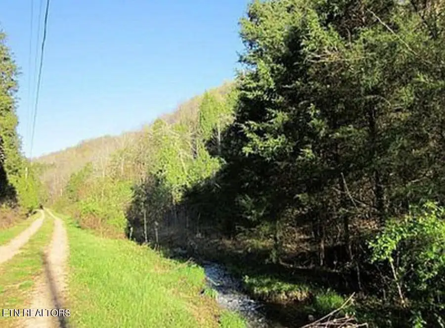 360 Spurlock Hollow Lane, Gainesboro, TN 38562 - #3