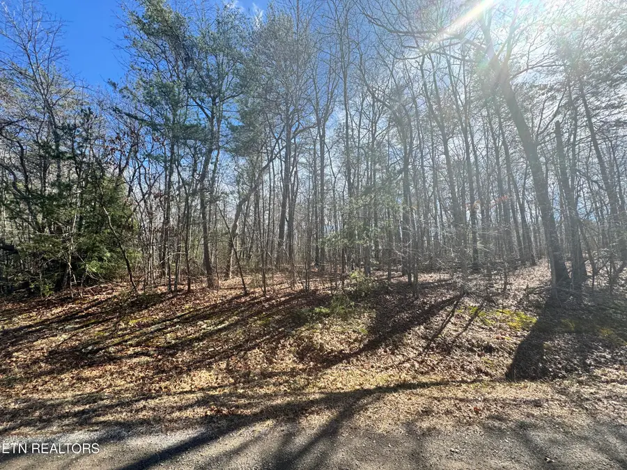 N Laurel Loop, Monterey, TN 38574 - #2