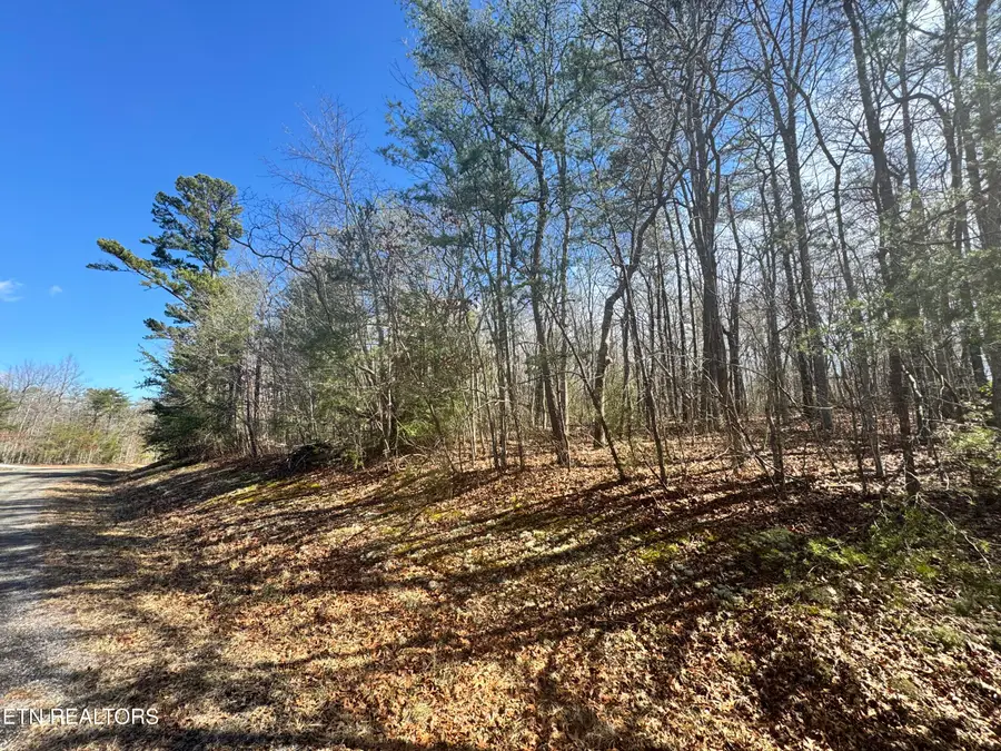 N Laurel Loop, Monterey, TN 38574 - #3