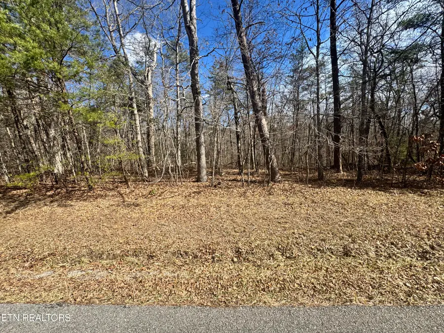 Cumberland Lakes Drive, Monterey, TN 38574 - #2