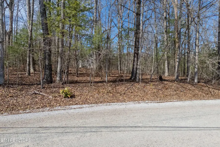 17 Hunterwood Court, Crossville, TN 38558 - #2