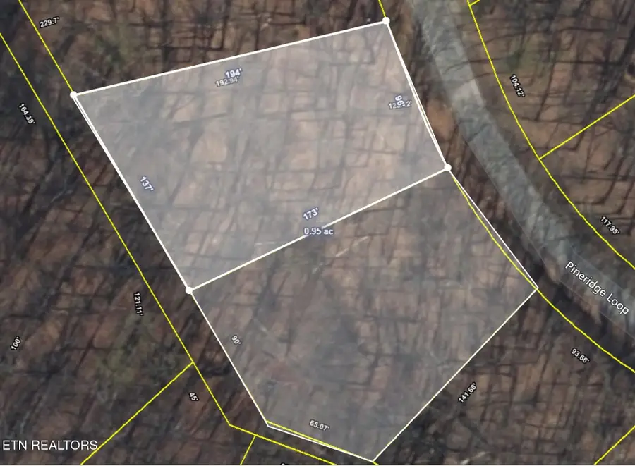 121 Pineridge Loop, Fairfield Glade, TN 38558 - #3