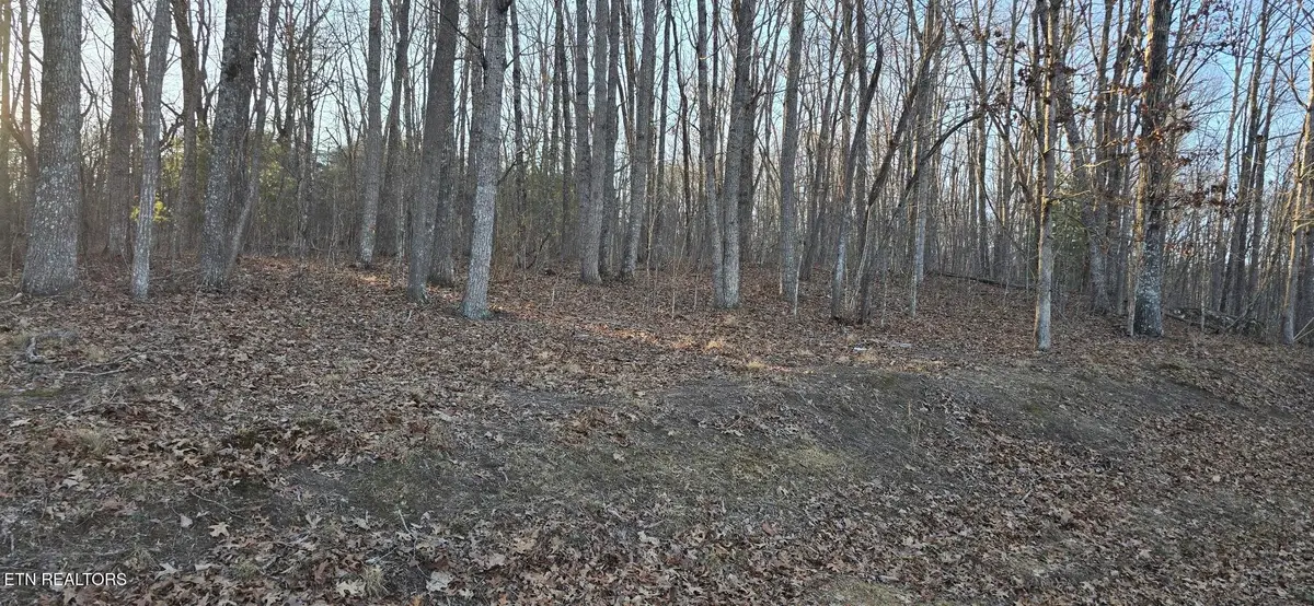 119 Pineridge Loop, Fairfield Glade, TN 38558 - #1