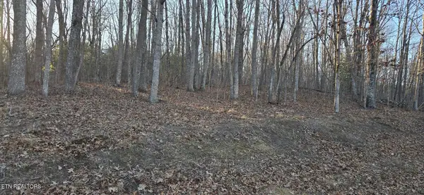 119 Pineridge Loop, Fairfield Glade, TN 38558