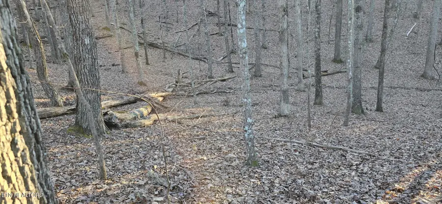 119 Pineridge Loop, Fairfield Glade, TN 38558 - #3