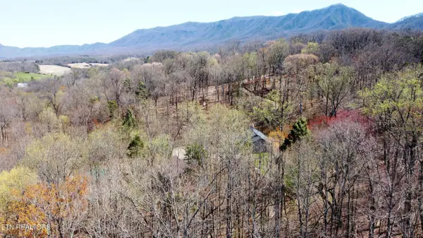 223 Burning Oaks Drive, Sevierville, TN 37876