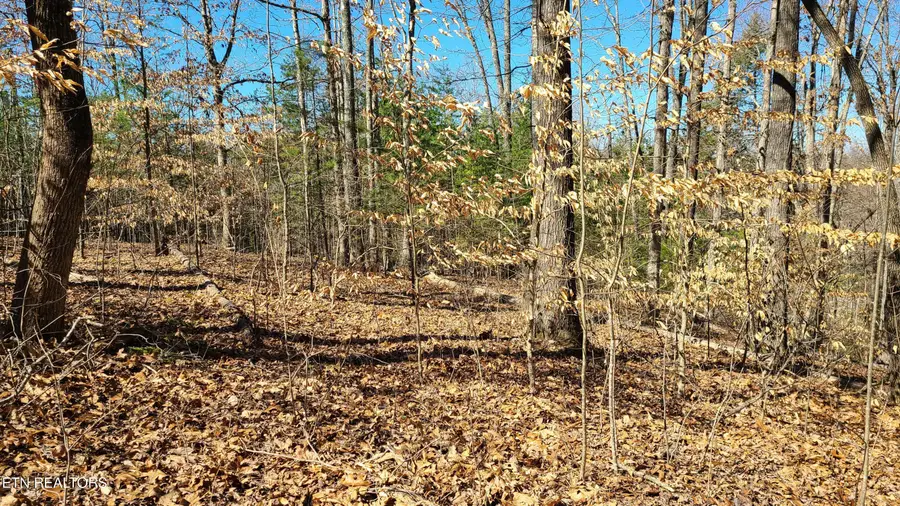 223 Burning Oaks Drive, Sevierville, TN 37876 - #3