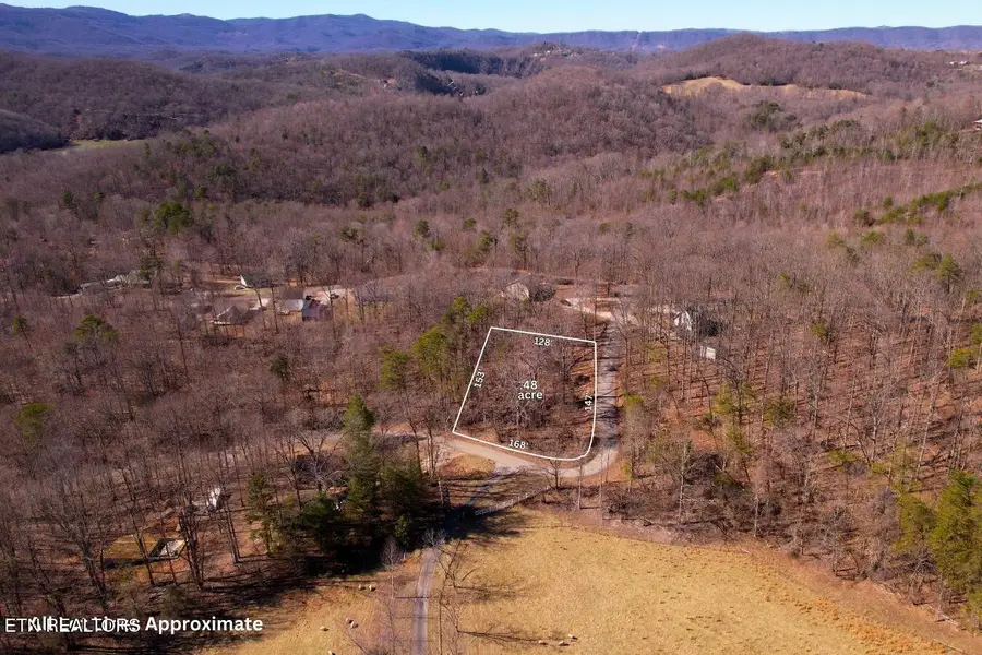 Lot 227 Auxier Drive, Jacksboro, TN 37757 - #2