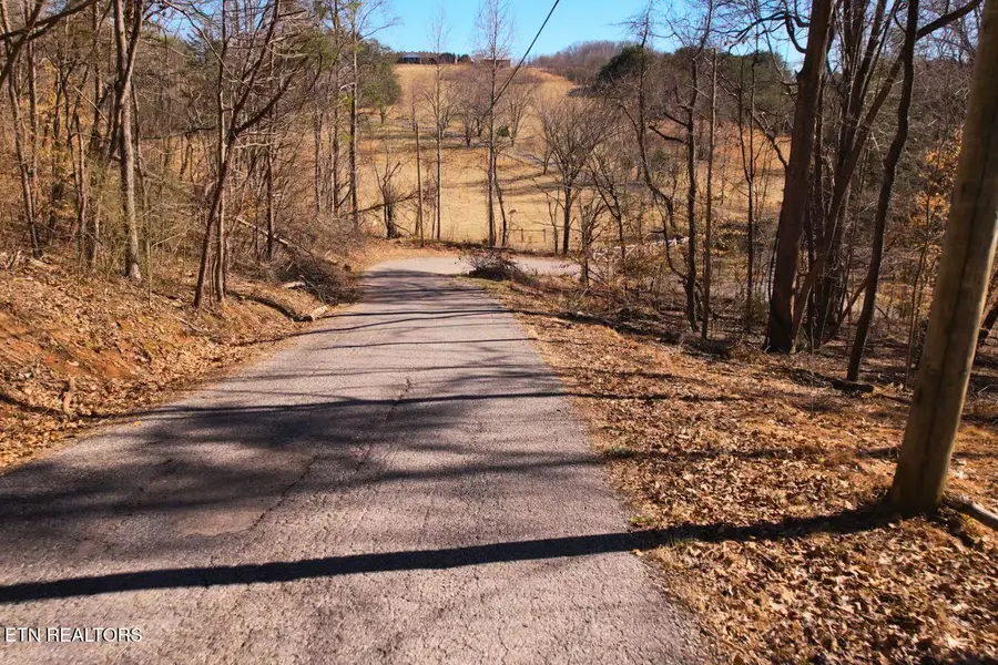 Lot 227 Auxier Drive, Jacksboro, TN 37757 - #3