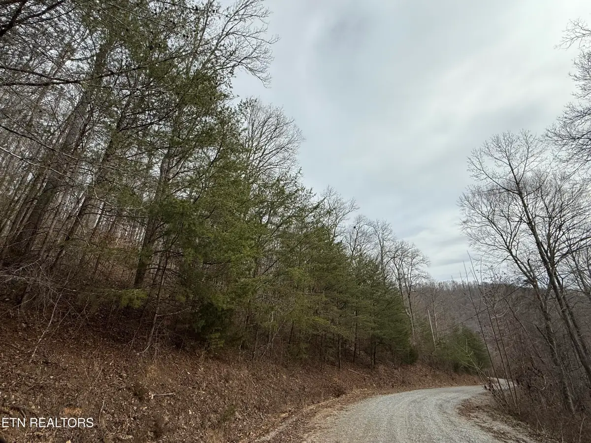 Jones Ridge Rd Rd, Speedwell, TN 37870 - #1