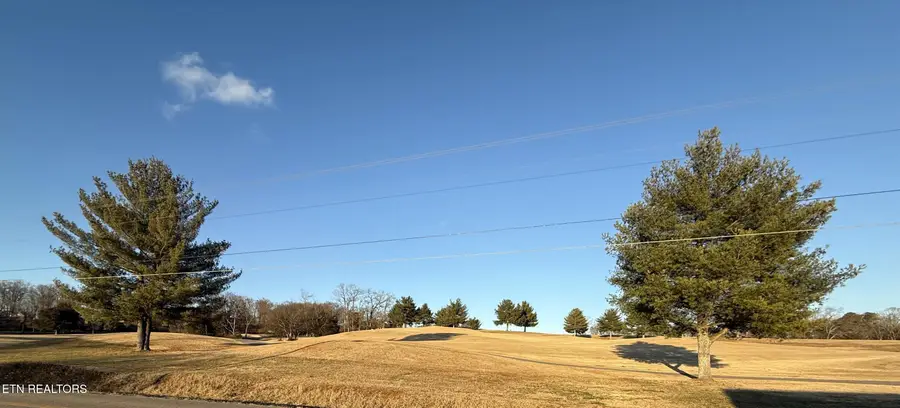 1065 Valley Home Rd, Dandridge, TN 37725 - #3