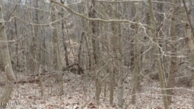 Tract 24 Beaver Lane, Gainesboro, TN 38562 - #1