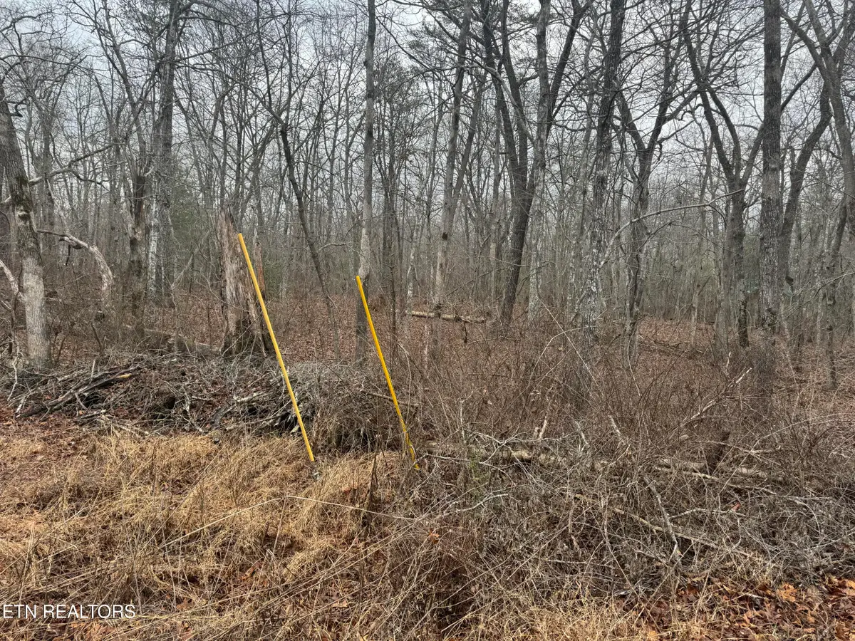 4011 Klamath Circle, Crossville, TN 38572 - #1