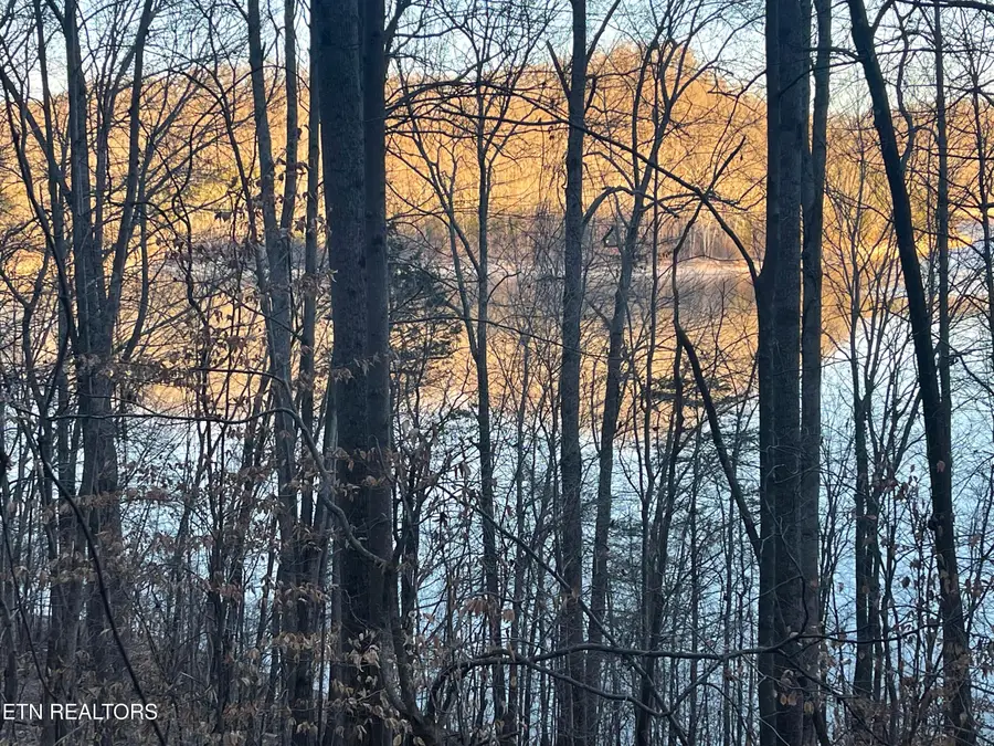 0 Back Bone Rd, Sparta, TN 38583 - #3