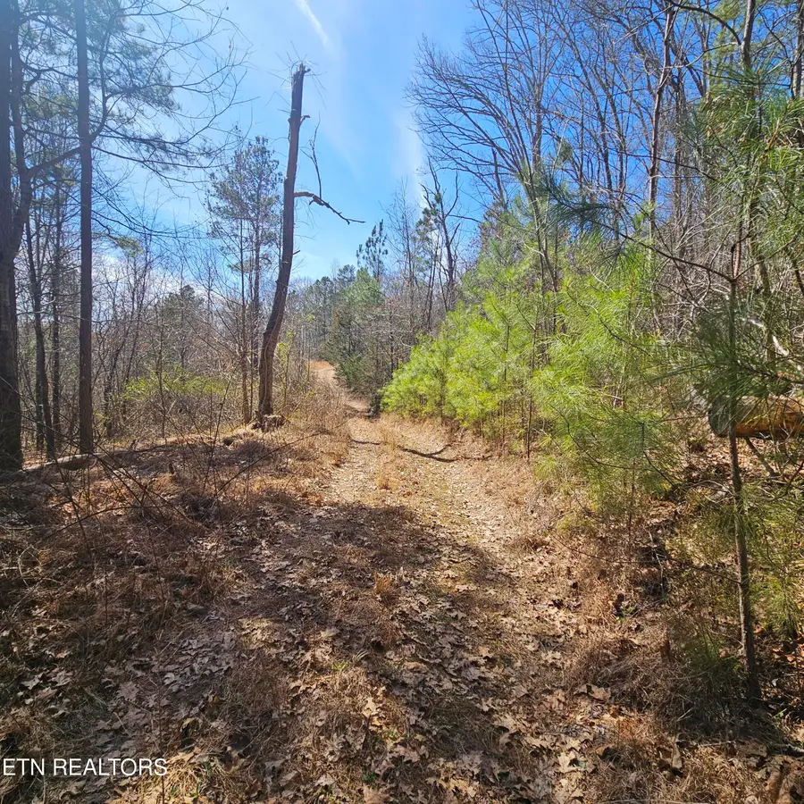 0 Lick Creek Rd, Tellico Plains, TN 37385 - #3