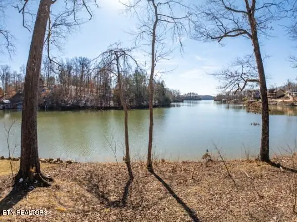 Edgewater Way, Ten Mile, TN 37880 - #1