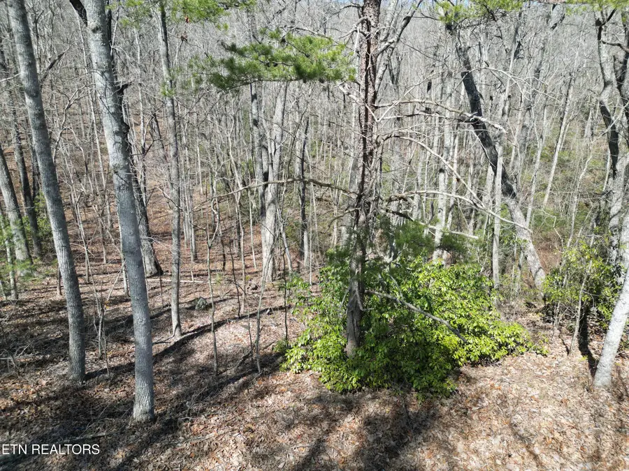 607 St George Drive, Crossville, TN 38558 - #2