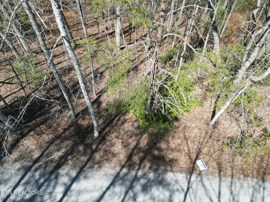 607 St George Drive, Crossville, TN 38558 - #3