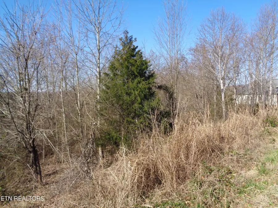 0 Holston River Dr., Rutledge, TN 37861 - #2