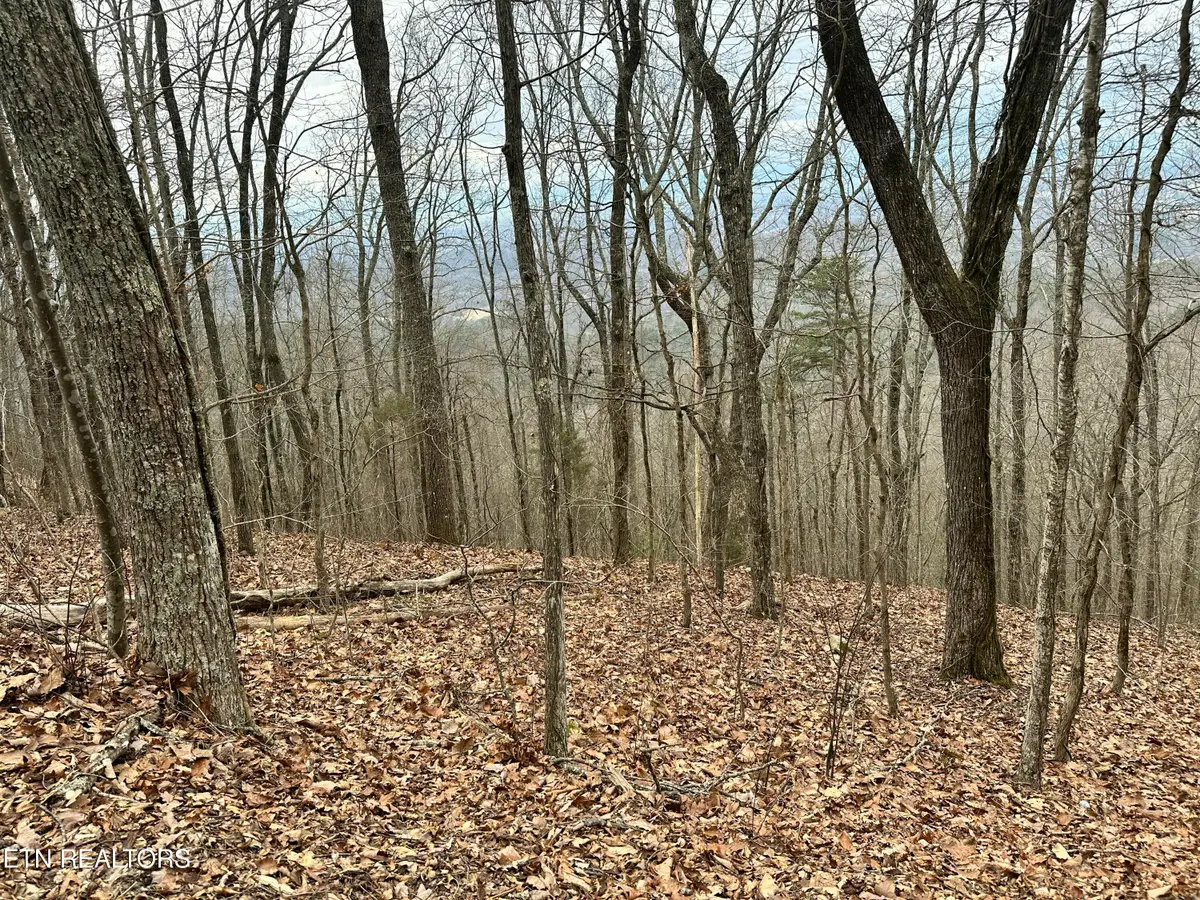 Butterfly Gap Rd, Maryville, TN 37803 - #1