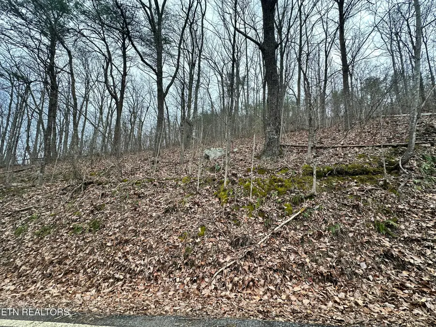 Butterfly Gap Rd, Maryville, TN 37803 - #2