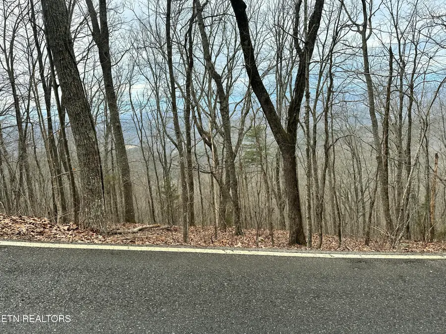 Butterfly Gap Rd, Maryville, TN 37803 - #3