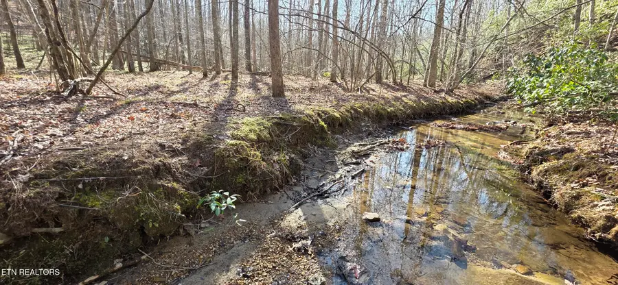 Oak Place, Monterey, TN 38574 - #3