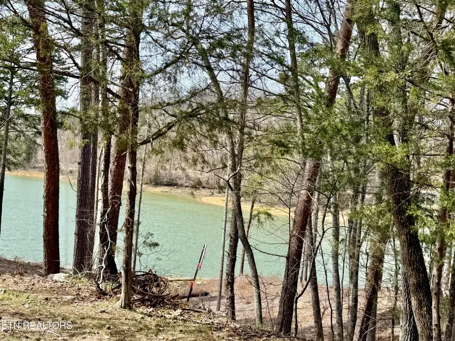 Summer Breeze Lane, New Tazewell, TN 37825 - #3