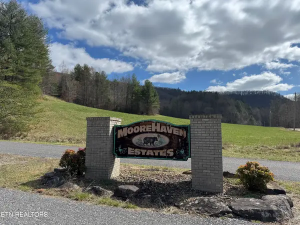 Cougar Tr, Del Rio, TN 37727