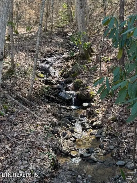 Cougar Tr, Del Rio, TN 37727 - #2