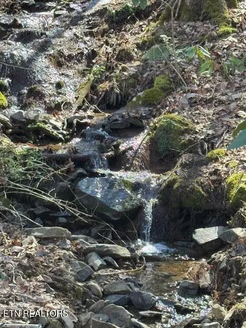 Cougar Tr, Del Rio, TN 37727 - #3