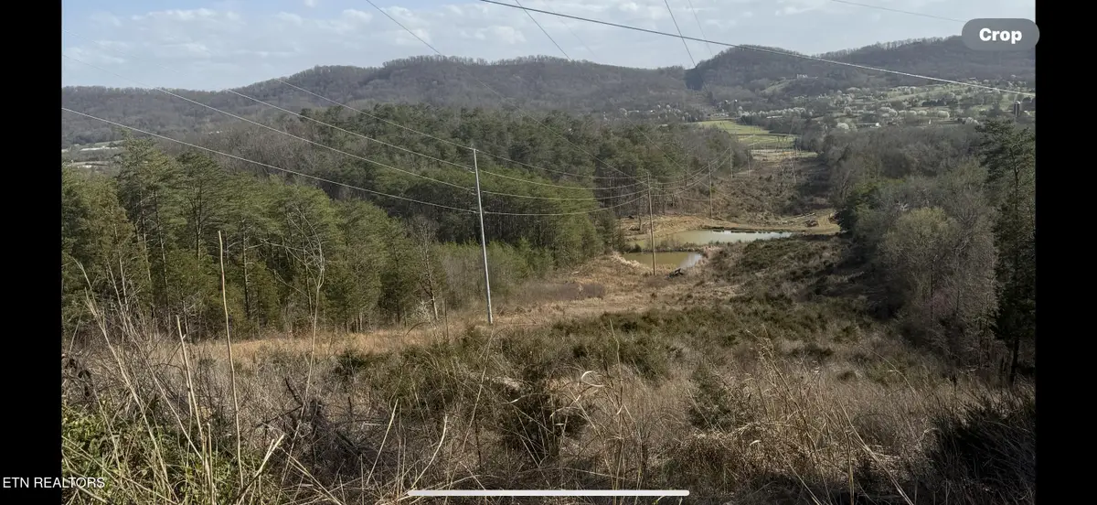 1372 Friends Station Rd, New Market, TN 37820 - #1