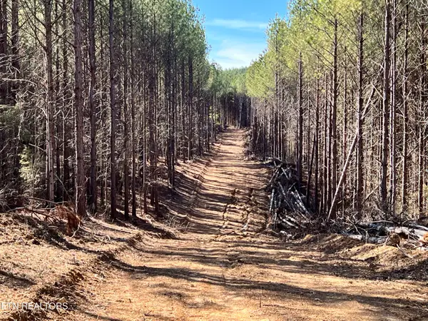 Lot 18 Sam Davis Road, Decatur, TN 37322