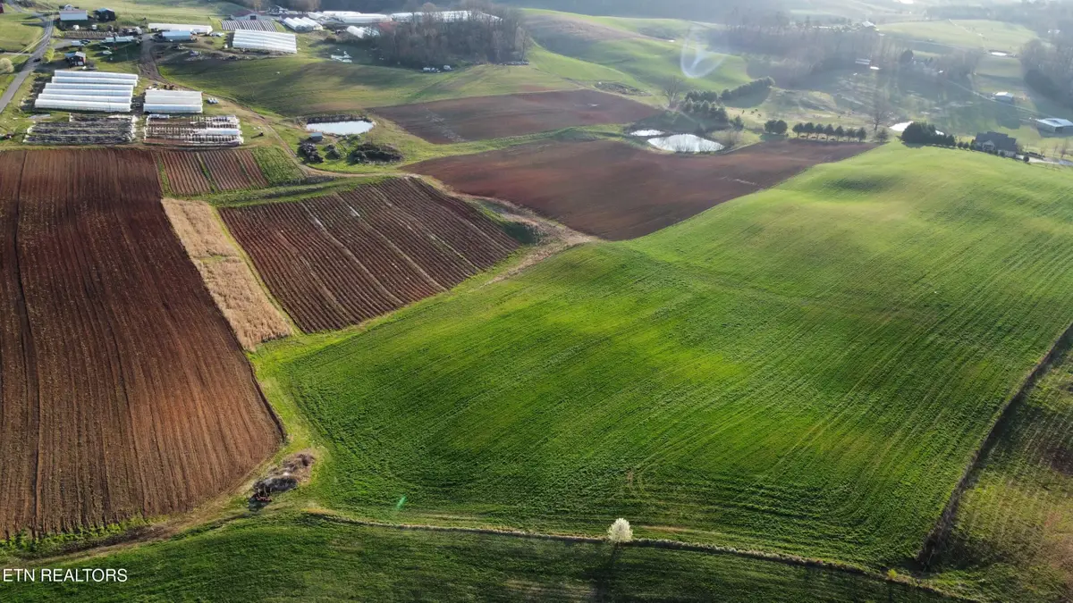 70 acres+- Perrin Hill Rd, Rutledge, TN 37861 - #1