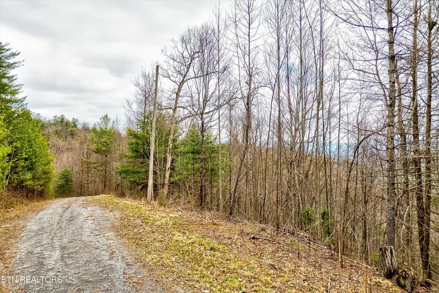 Lot 41 Black Maple Way, Del Rio, TN 37727 - #3