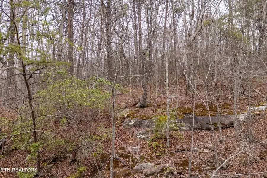 106 Warrington Rd, Crossville, TN 38558 - #3