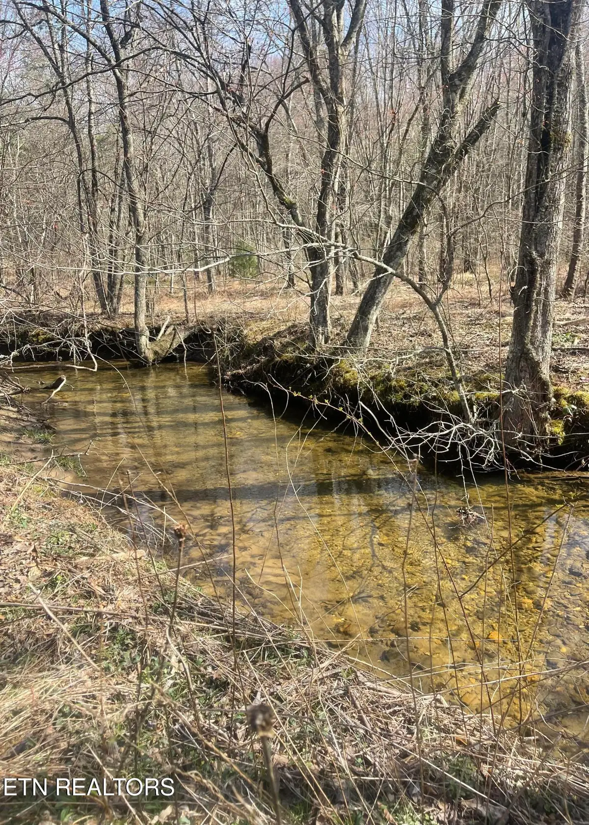 Tilley Rd, Tellico Plains, TN 37385 - #1